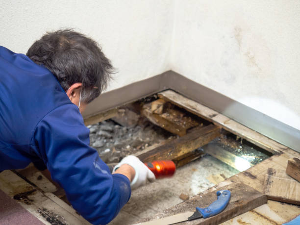 Best Crawl Space Mold Removal  in Wurtsboro, NY