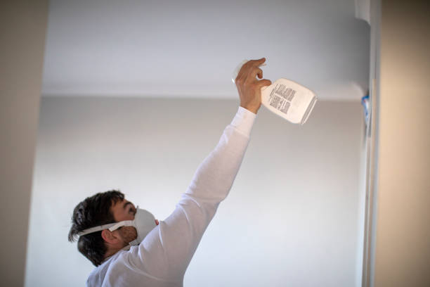 Mold Testing and Removal in Wurtsboro, NY